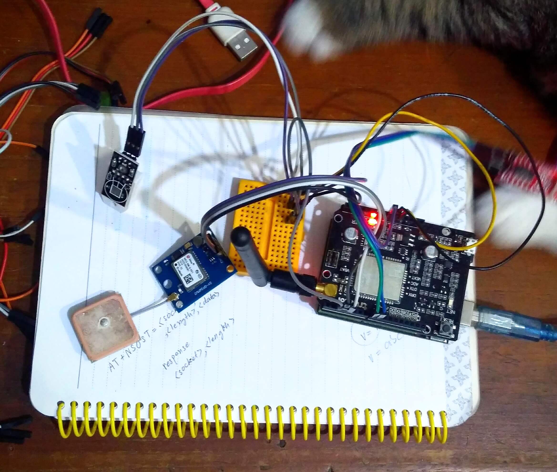 IMG_20180630_001743 » PLAYELEK